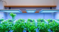 smart indoor herb gardens