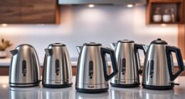 top electric kettles with temp