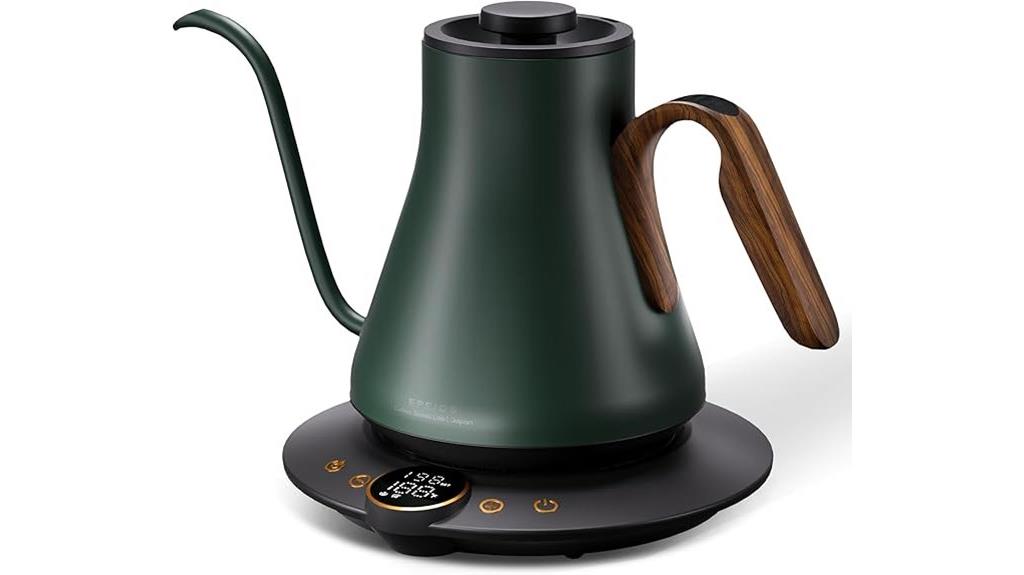 electric kettle with precise temperature