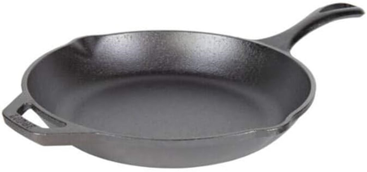 lodge 10 inch cast iron