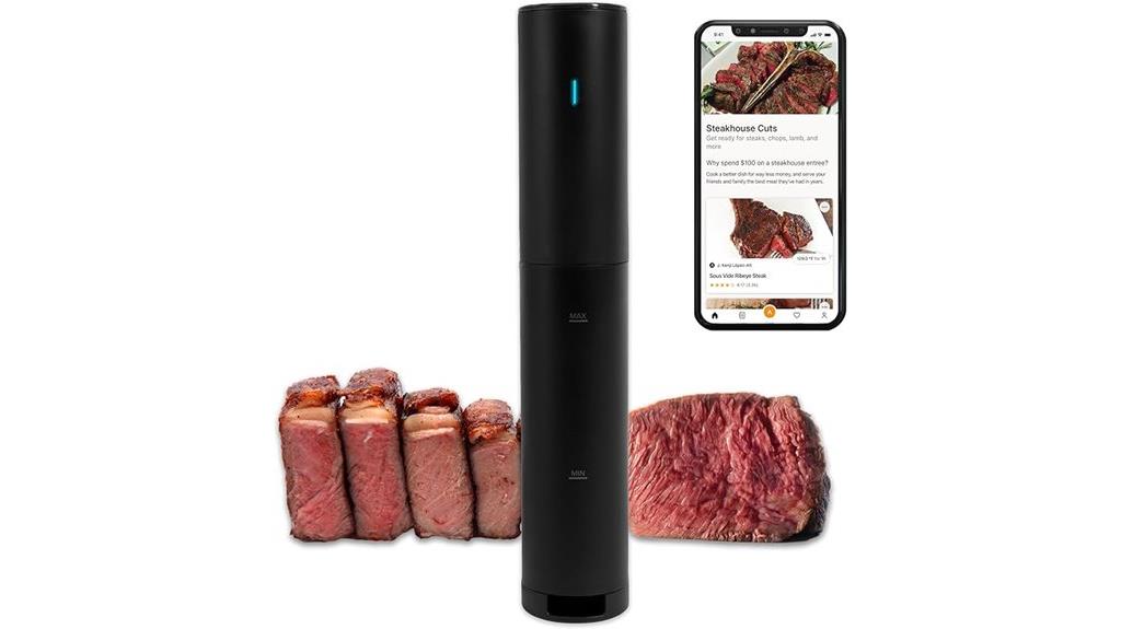 mini sous vide cooker