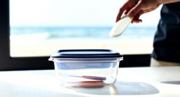 10 Best Best Sous Vide Container Kit in 2026