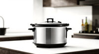 11 Best Best Premium Slow Cooker in 2026