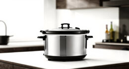 11 Best Best Premium Slow Cooker in 2026