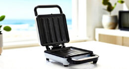 12 Best Best Panini Press Grill in 2026
