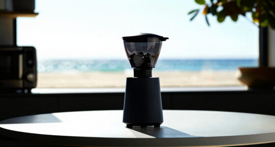 12 Best Luxury Small Kitchen Appliances in 2026