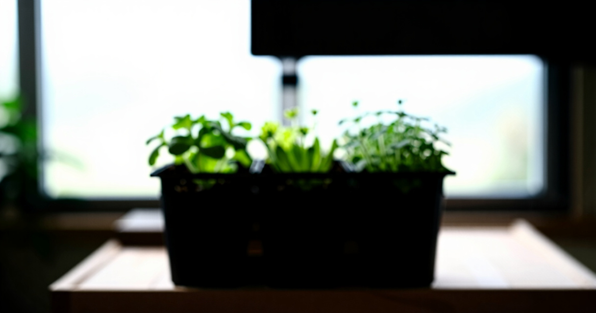 12 Best Premium Indoor Herb Garden in 2026