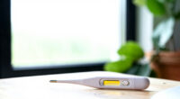 12 Best Premium Instant Read Thermometers in 2026