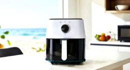 13 Best Best Microwave Air Fryer Combo Premium in 2026