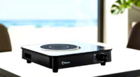 13 Best High Watt Portable Induction Cooktop in 2026
