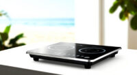 13 Best Induction Cooktop With Temperature Control in 2026