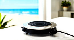 14 Best Induction Burner For Precision Cooking In 2026