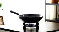 15 Best Best Premium Induction Wok Burner in 2026