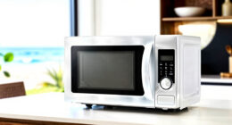 15 Best High End Convection Microwaves in 2026