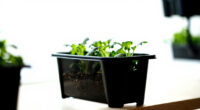 15 Best Smart Garden For Kitchen Herbs In 2026