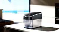 6 Best Best Premium Countertop Ice Maker in 2026