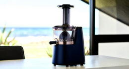 7 Best Premium Cold Press Juicers in 2026