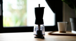 8 Best Electric Spice Grinder in 2026