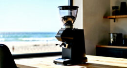 8 Best High End Coffee Grinder in 2026