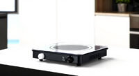 8 Best Portable Induction Cooktop in 2026