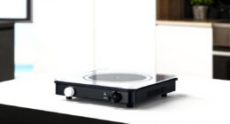 8 Best Portable Induction Cooktop in 2026