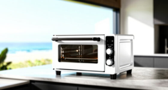 9 Best Large Capacity Countertop Ovens in 2026