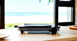 9 Best Premium Portable Induction Cooktop in 2026