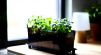 9 Best Smart Indoor Herb Garden in 2026
