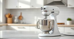 Best KitchenAid Meat Grinder Attachments & Parts in 2026