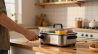 10 Best Electric Lunch Box Heaters in 2026