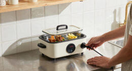 14 Best Electric Lunch Box Heaters in 2026