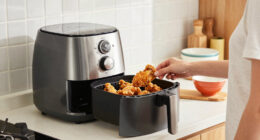 15 Best Air Fryers For Large Families In 2026