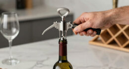 15 Best Electric Wine Openers in 2026