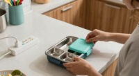 Best Electric Lunch Box For Students Compared
