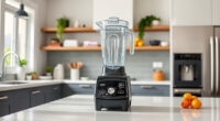 Vitamix 5200 vs Vitamix E310 Explorian: Full Comparison