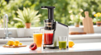 Summer Care Tips for Your Ninja NeverClog Cold Press Juicer