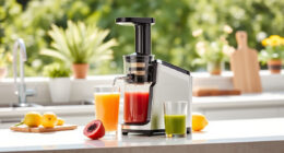 Summer Care Tips for Your Ninja NeverClog Cold Press Juicer